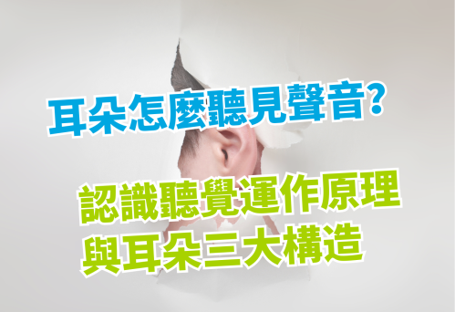 耳朵怎麼聽見聲音？維膜助聽器