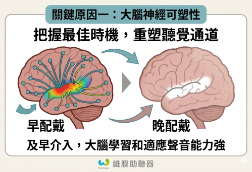 【圖解】為什麼聽力損失會變笨??